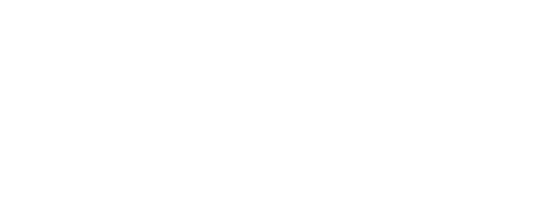 Logo AlfaConect